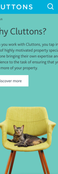 Website frontend UI screenshot